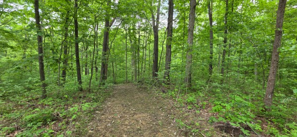 Big Timber Ridge - Phase II Tract 2 property photo
