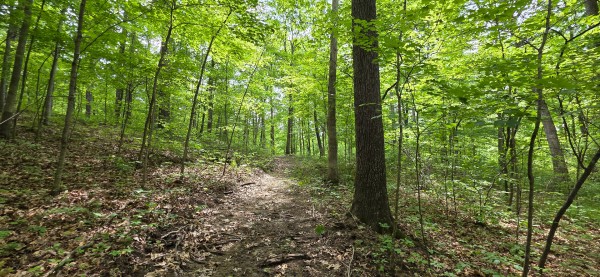 Big Timber Ridge - Phase II Tract 2 property photo