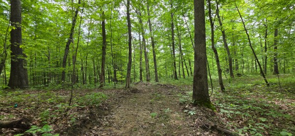 Big Timber Ridge - Phase II Tract 2 property photo