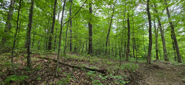 Big Timber Ridge - Phase II Tract 2 property photo