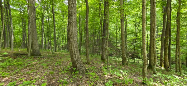 Big Timber Ridge - Phase II Tract 2 property photo