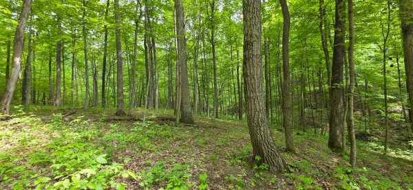 Big Timber Ridge - Phase II Tract 2 property photo