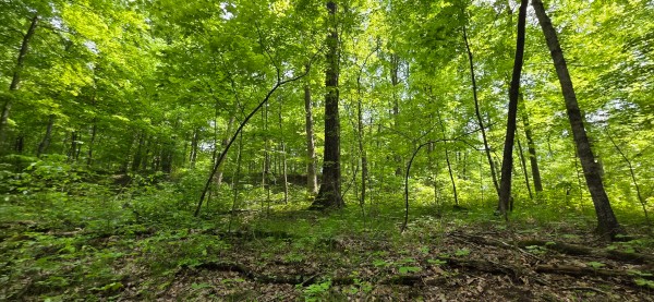 Big Timber Ridge - Phase II Tract 2 property photo