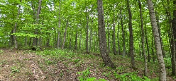 More of Big Timber Ridge - Phase II Tract 2