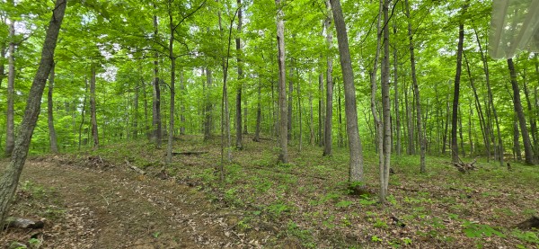 Big Timber Ridge - Phase II Tract 2 property photo