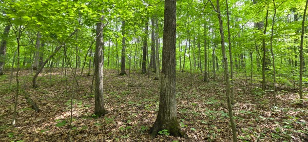 Big Timber Ridge - Phase II Tract 2 property photo