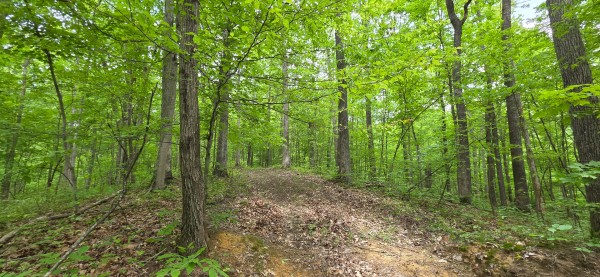 Big Timber Ridge - Phase II Tract 2 property photo