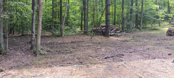 Lot M - The Woods at Flint Ridge property photo