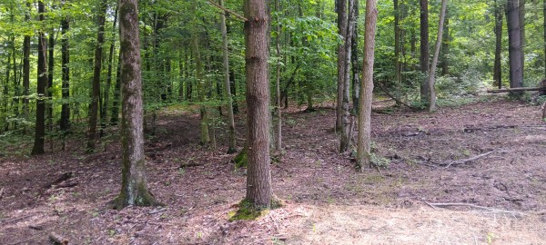 Lot M - The Woods at Flint Ridge property photo