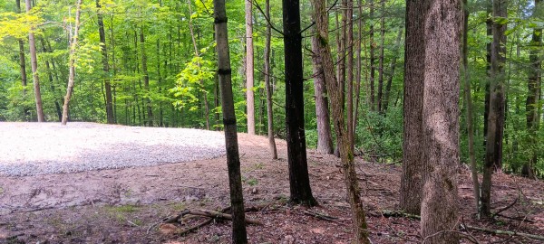 Lot M - The Woods at Flint Ridge property photo