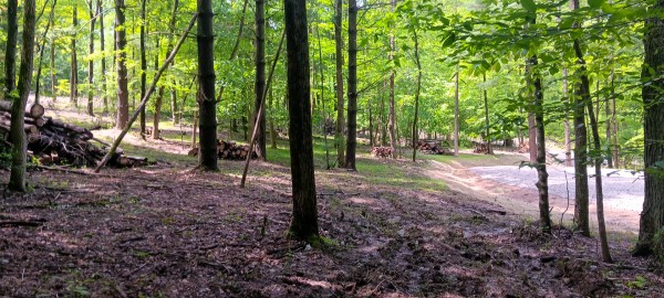 Lot M - The Woods at Flint Ridge property photo