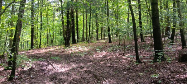 Lot M - The Woods at Flint Ridge property photo