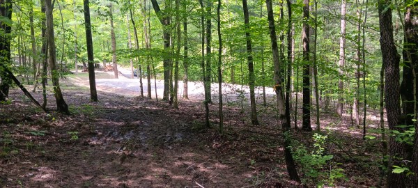Lot M - The Woods at Flint Ridge property photo