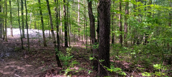 Lot M - The Woods at Flint Ridge property photo