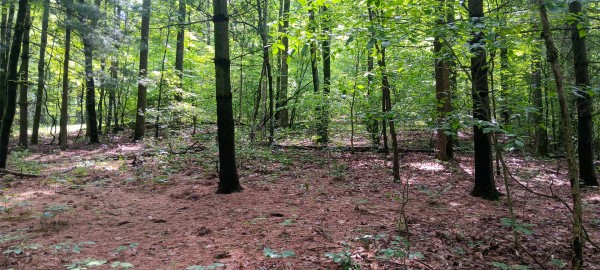 Lot M - The Woods at Flint Ridge property photo