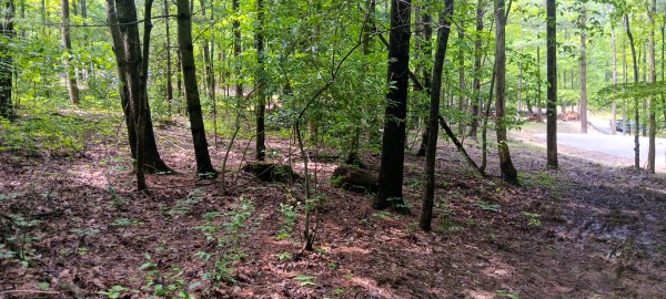 Lot M - The Woods at Flint Ridge property photo
