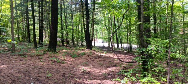Lot M - The Woods at Flint Ridge property photo