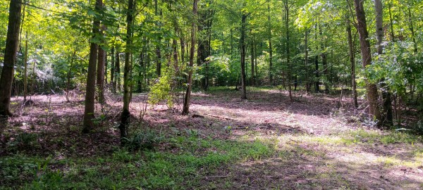 Lot M - The Woods at Flint Ridge property photo