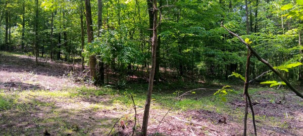 Lot M - The Woods at Flint Ridge property photo