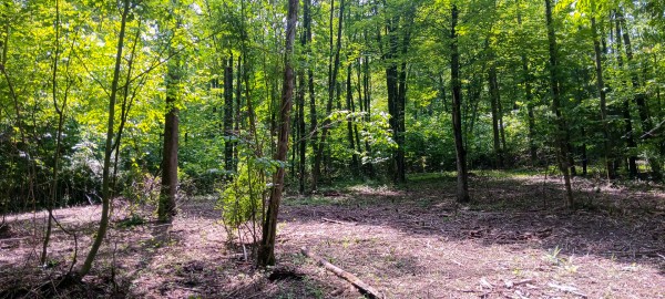 Lot M - The Woods at Flint Ridge property photo
