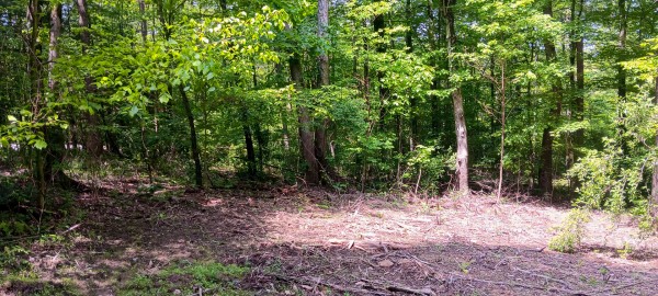 Lot M - The Woods at Flint Ridge property photo