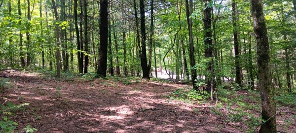 Lot M - The Woods at Flint Ridge property photo
