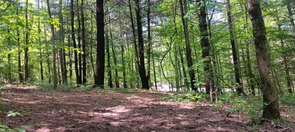 Lot M - The Woods at Flint Ridge property photo