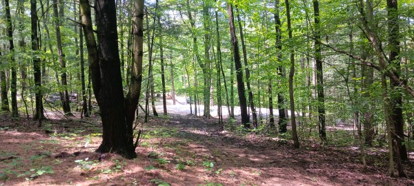 Lot M - The Woods at Flint Ridge property photo