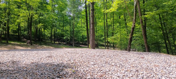 Lot M - The Woods at Flint Ridge property photo