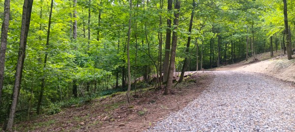 Lot N - The Woods at Flint Ridge property photo