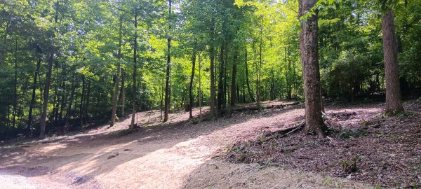 Lot N - The Woods at Flint Ridge property photo