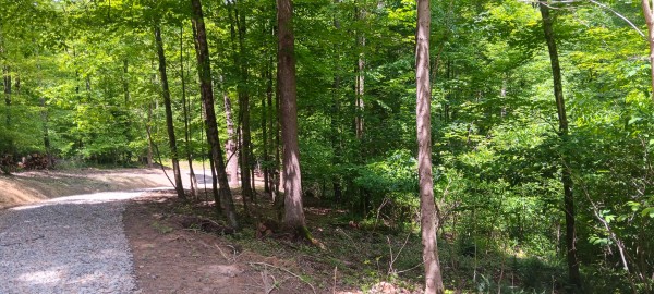 Lot N - The Woods at Flint Ridge property photo