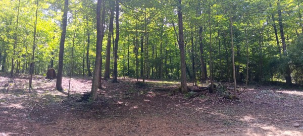Lot N - The Woods at Flint Ridge property photo