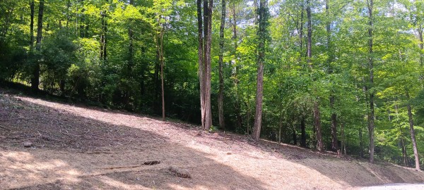 Lot N - The Woods at Flint Ridge property photo