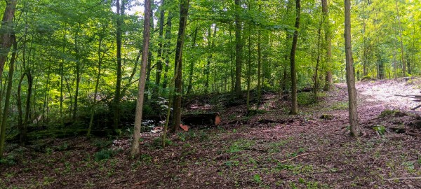 Lot N - The Woods at Flint Ridge property photo