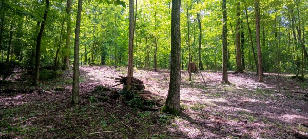 Lot N - The Woods at Flint Ridge property photo