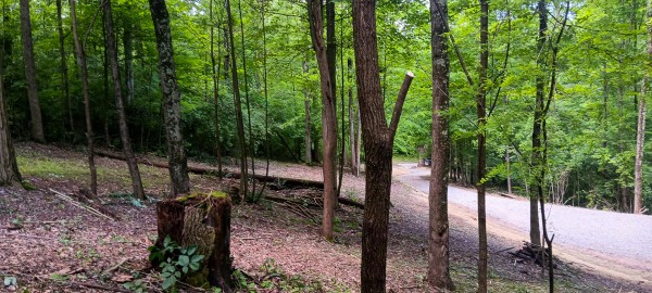 Lot N - The Woods at Flint Ridge property photo