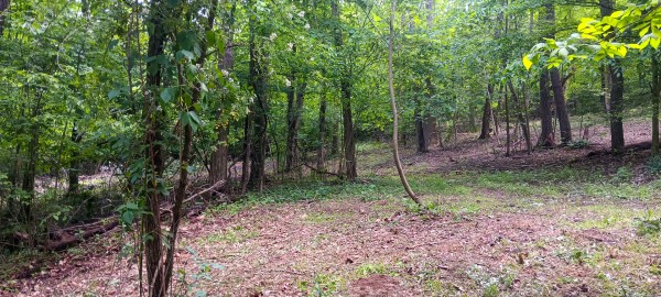 Lot N - The Woods at Flint Ridge property photo