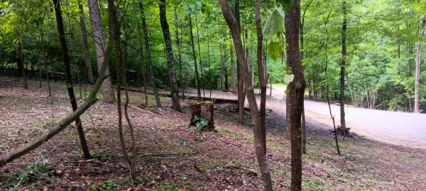 Lot N - The Woods at Flint Ridge property photo