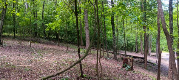 Lot N - The Woods at Flint Ridge property photo
