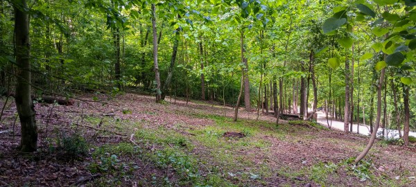 Lot N - The Woods at Flint Ridge property photo