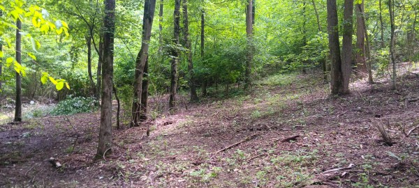 Lot N - The Woods at Flint Ridge property photo