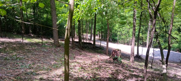 Lot N - The Woods at Flint Ridge property photo