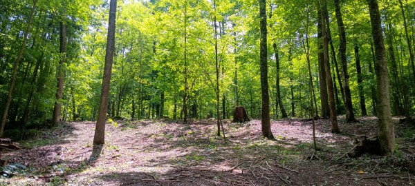 Lot N - The Woods at Flint Ridge property photo