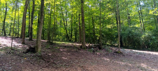 Lot N - The Woods at Flint Ridge property photo
