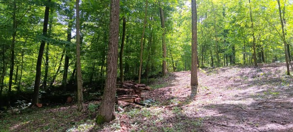 Lot N - The Woods at Flint Ridge property photo