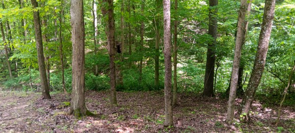 Lot N - The Woods at Flint Ridge property photo