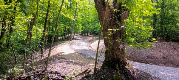 Lot N - The Woods at Flint Ridge property photo