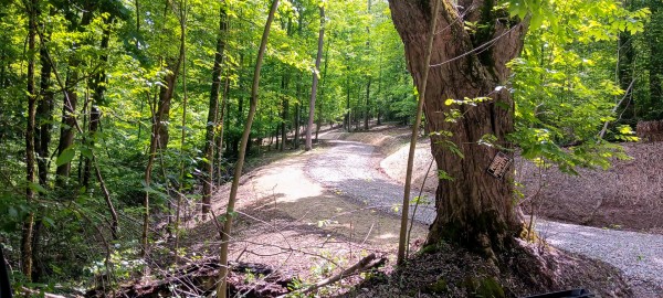 Lot N - The Woods at Flint Ridge property photo