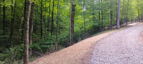 Lot N - The Woods at Flint Ridge property photo